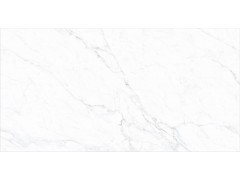 Carrara Bianco POL Керамогранит 60x120 Marble Mosaic