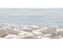 DWU09DLM604 декор Del Mare 249*500  Alma ceramica
