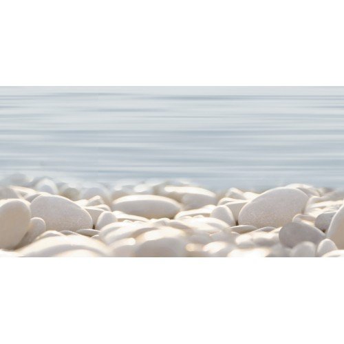 DWU09DLM604 декор Del Mare 249*500  Alma ceramica