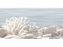 DWU09DLM624 декор Del Mare 249*500  Alma ceramica