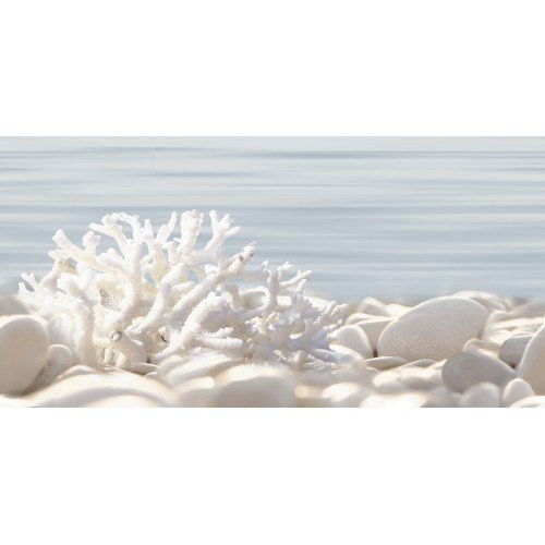 DWU09DLM624 декор Del Mare 249*500  Alma ceramica