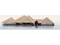 PWU09DLM1 панно из 2 плиток Del Mare 249*1000  Alma ceramica
