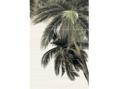 PWU09DLM2 панно из 3 плиток Del Mare 500*747  Alma ceramica