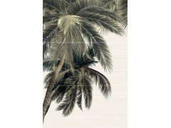 PWU09DLM3 панно из 3 плиток Del Mare 500*747  Alma ceramica