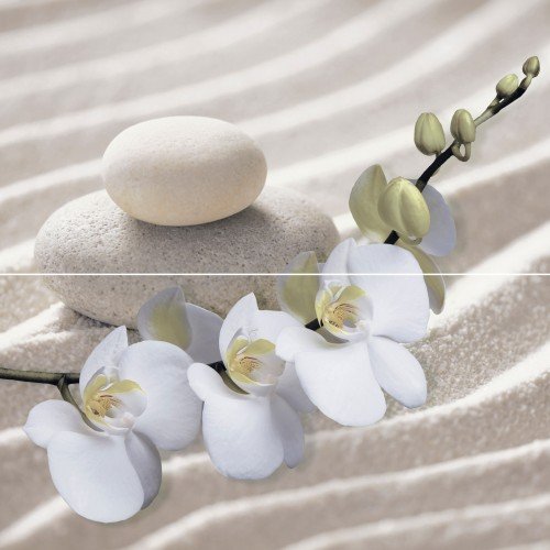 PWU09RLX1 панно из 2 плиток Relax 498*500  Alma ceramica