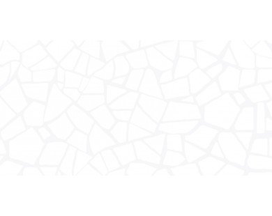 Smalta White WT9SML00 Плитка настенная 249*500  Altacera