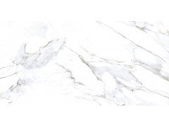 MONSTER WHITE 80x160 (6 видов рисунка) Gravita