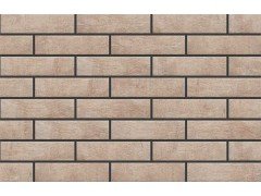 Loft Brick salt Клинкер 6,5x24,5 Cerrad