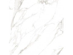 PR136 Omnia White polished Керамогранит 60x60 Primavera
