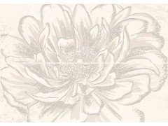 Strato Anemone Crema (из 2 шт.) Панно 50,2x70,9 Керлайф