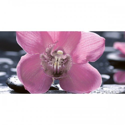 Декор Орхидея черный (цветы) (04-01-1-10-04-04-162-1) Нефрит
