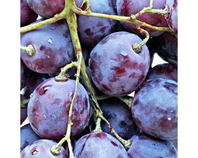 Декор Толедо фрукты виноград (04-01-1-14-00-55-140-5) Нефрит