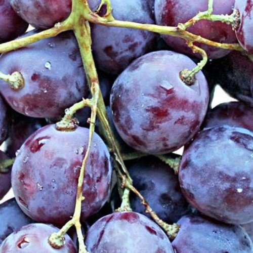 Декор Толедо фрукты виноград (04-01-1-14-00-55-140-5) Нефрит